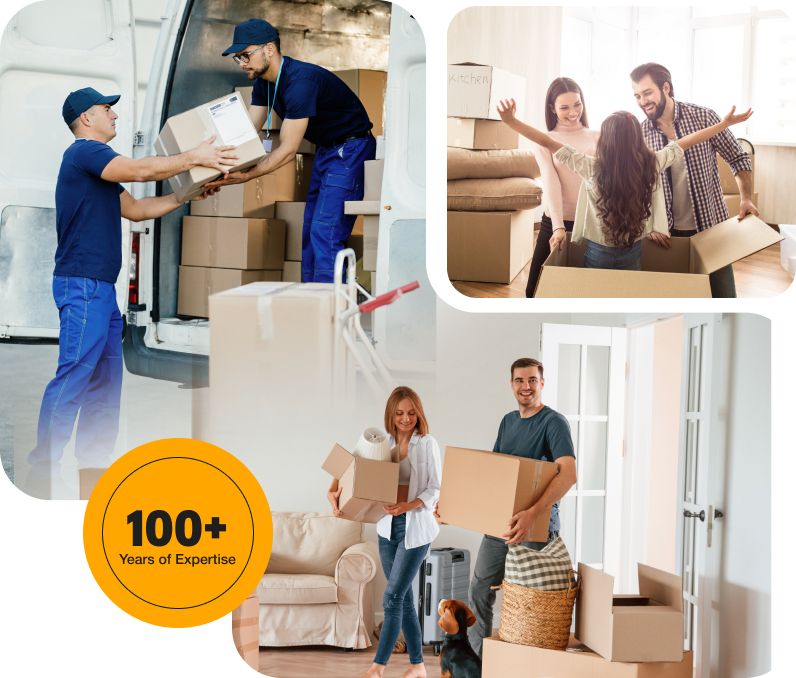 about solaris group picture